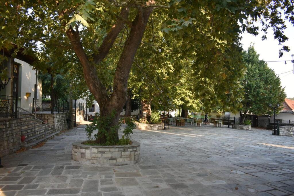Panorama Studio Afetes Afétai Εξωτερικό φωτογραφία